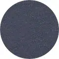 French Navy