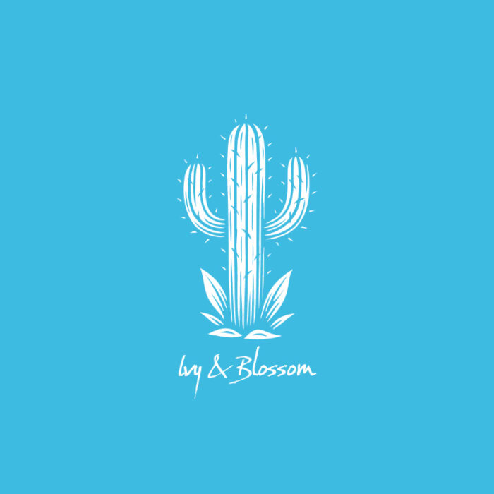 T-shirt Desert Cactus