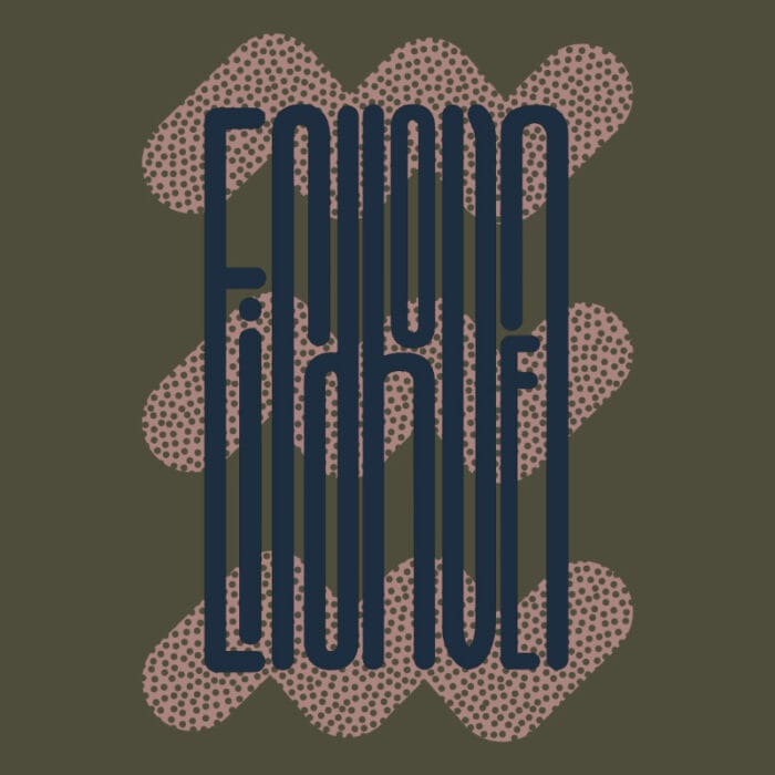 Groot Eindhoven T-shirt - Limited Graphic
